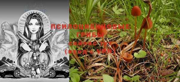 гашишное масло Няндома