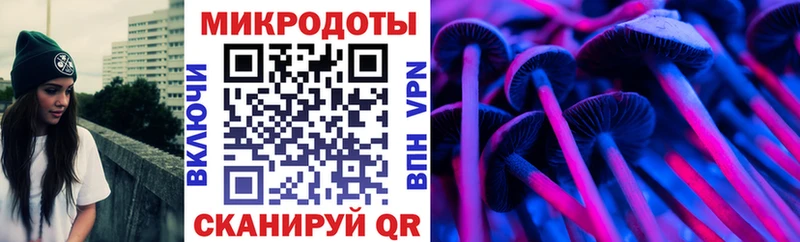 Псилоцибиновые грибы GOLDEN TEACHER  Купить  Абакан 